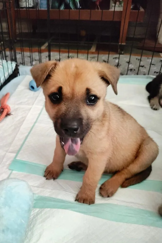 Keeley JonesTed Lasso Litter thumbnail 3
