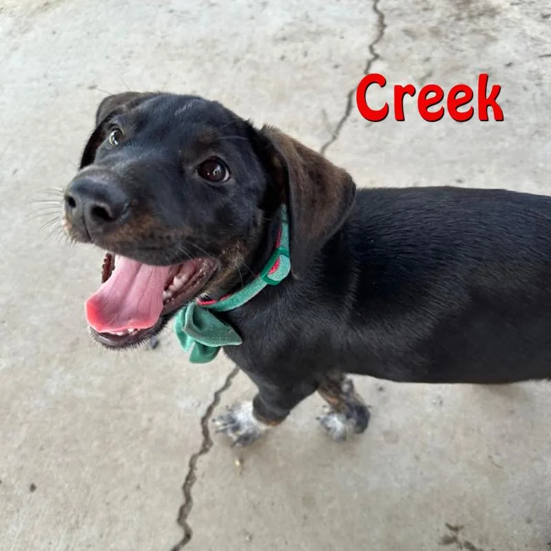 Creek thumbnail 2
