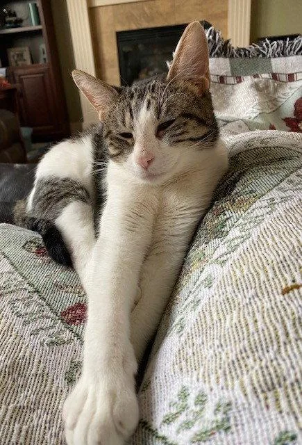 Francine