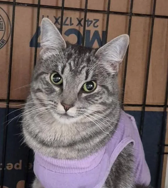 Laci Mae thumbnail 2