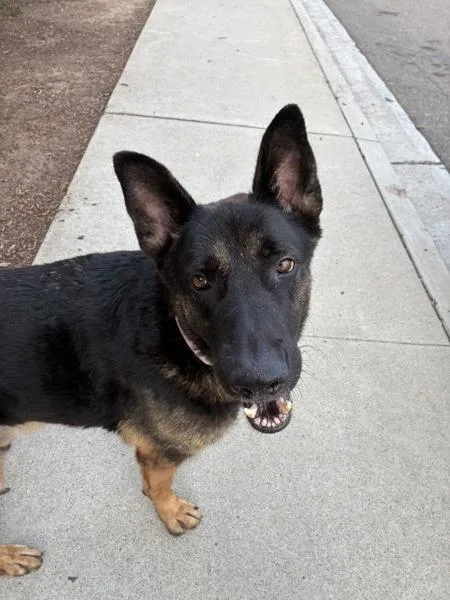 Duke