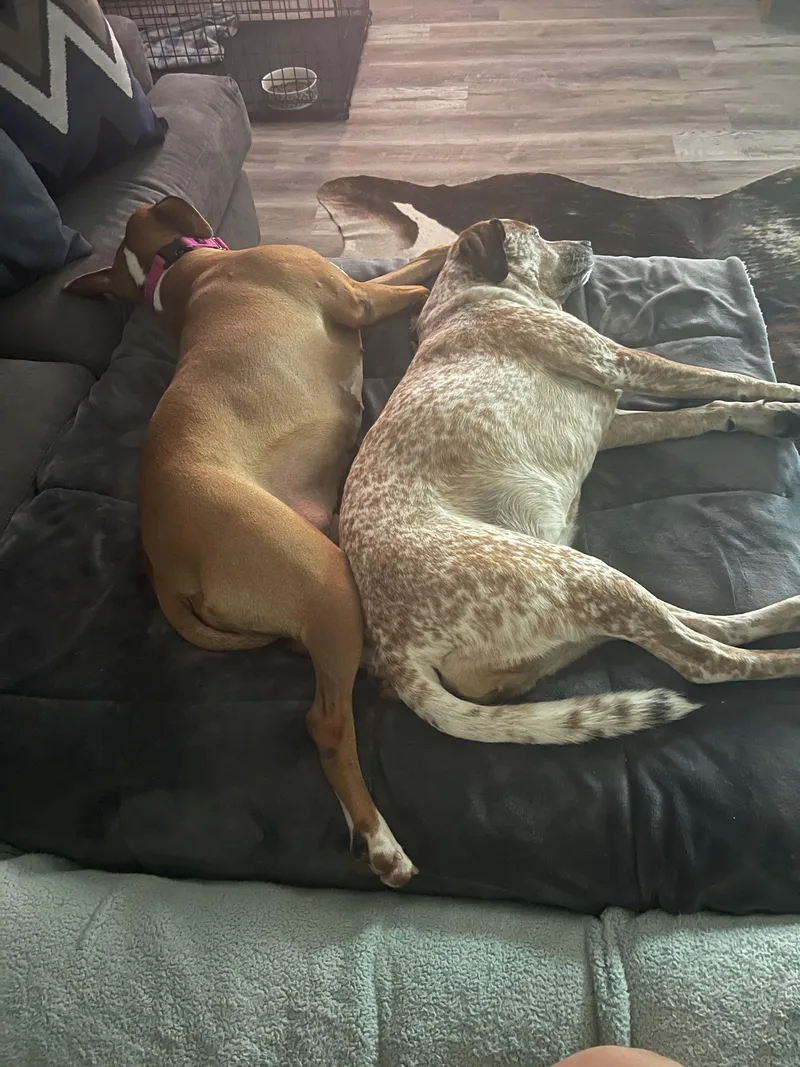 Sasha Le Posha thumbnail 2