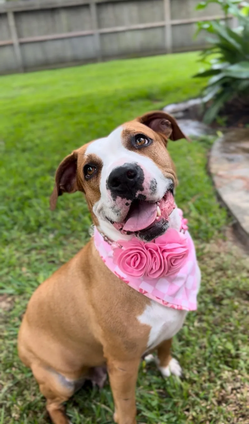 Sasha Le Posha thumbnail 5