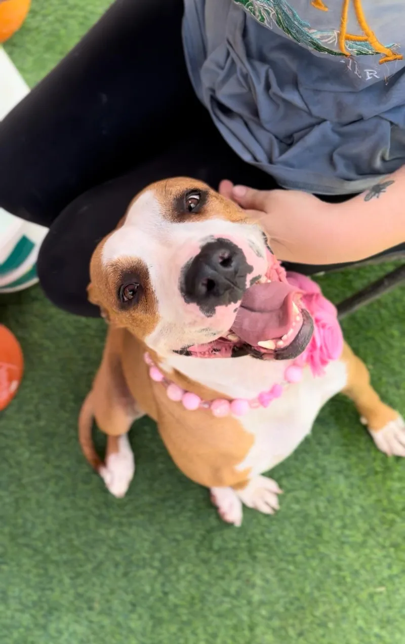 Sasha Le Posha thumbnail 6