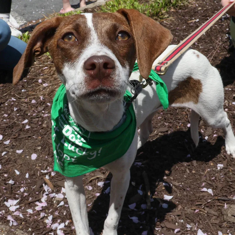 Manchita thumbnail 2