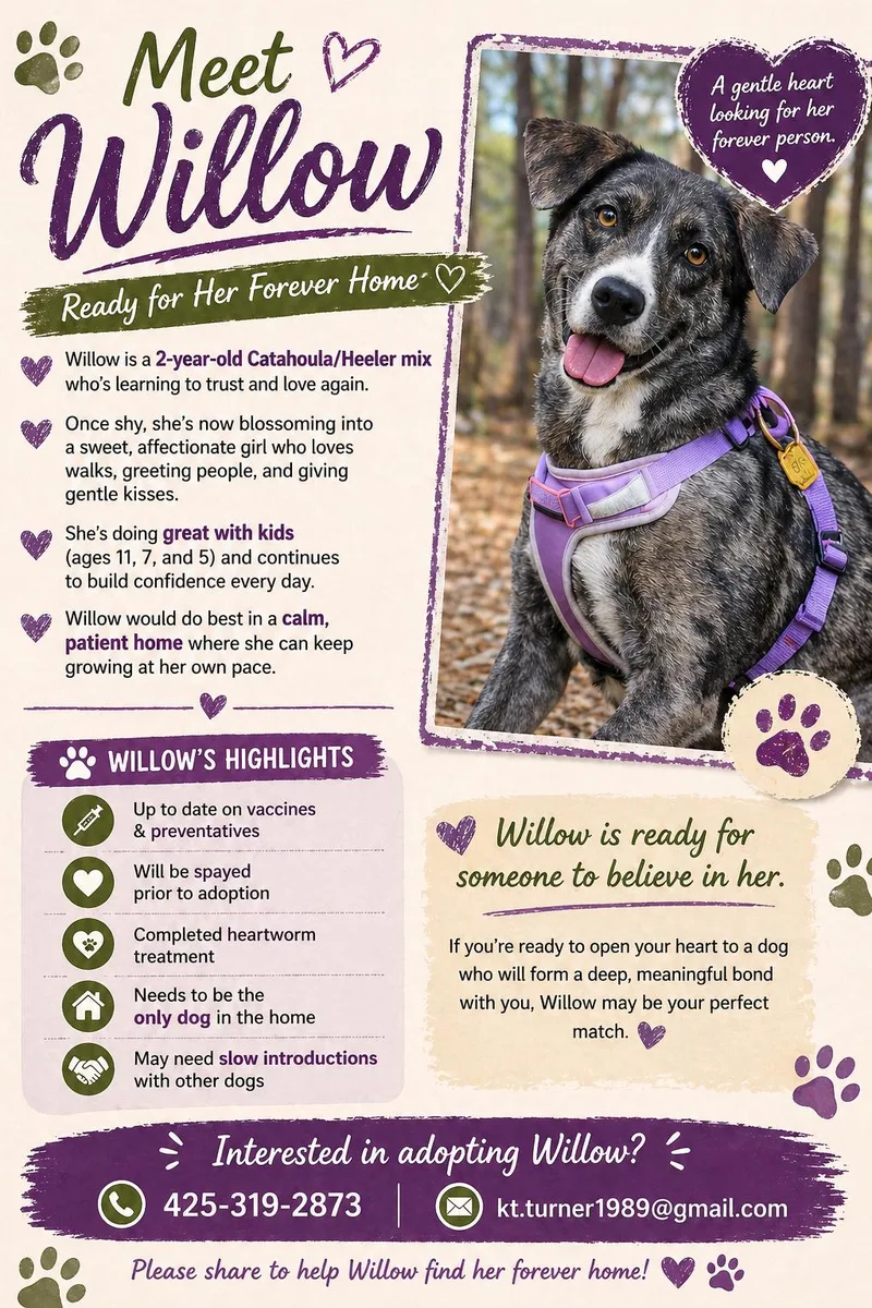 Willow