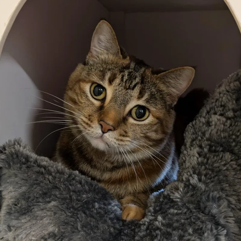 Fredericka thumbnail 2