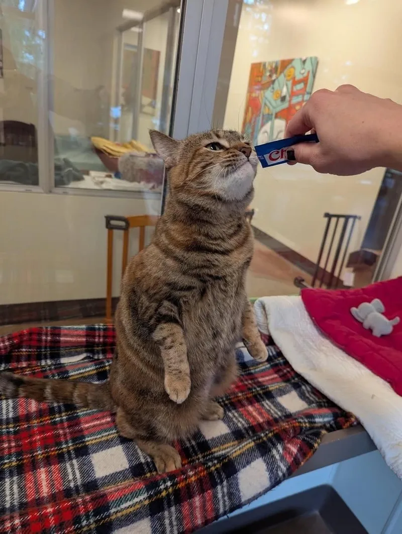 Fredericka thumbnail 3