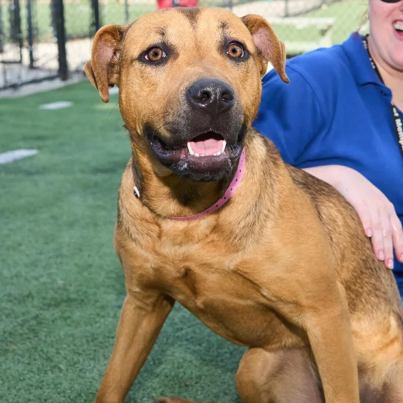 Sweet Girl thumbnail 3