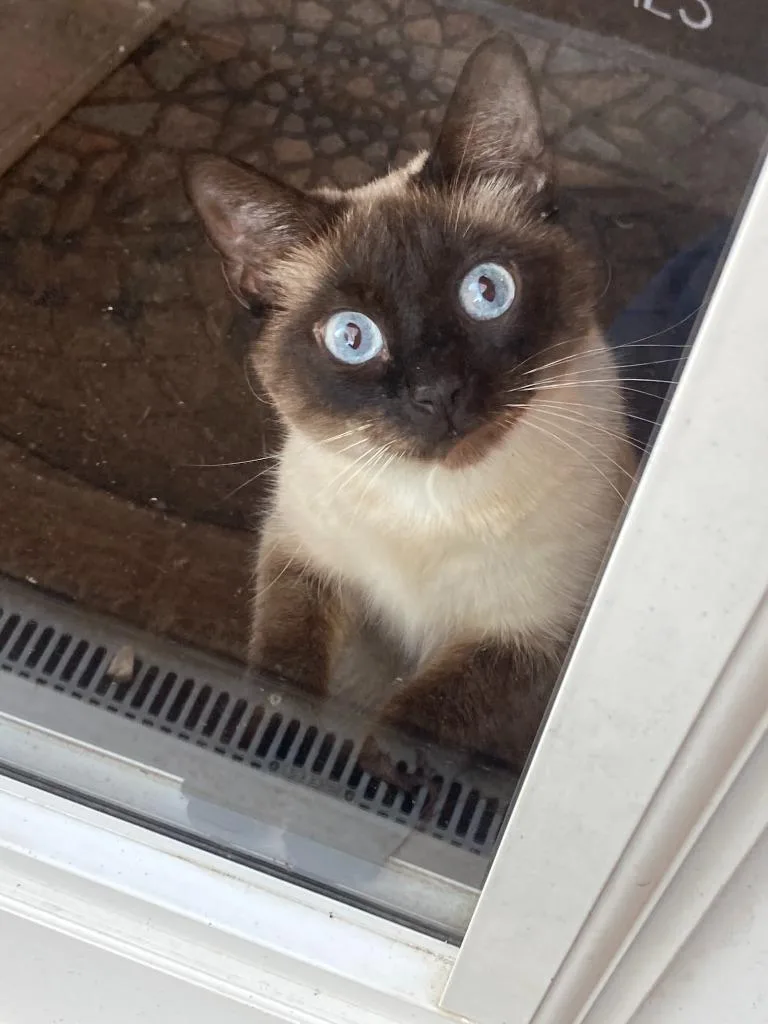 Sophie