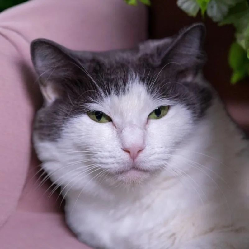 Martha May thumbnail 2