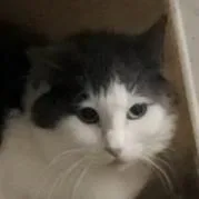 Martha May thumbnail 3