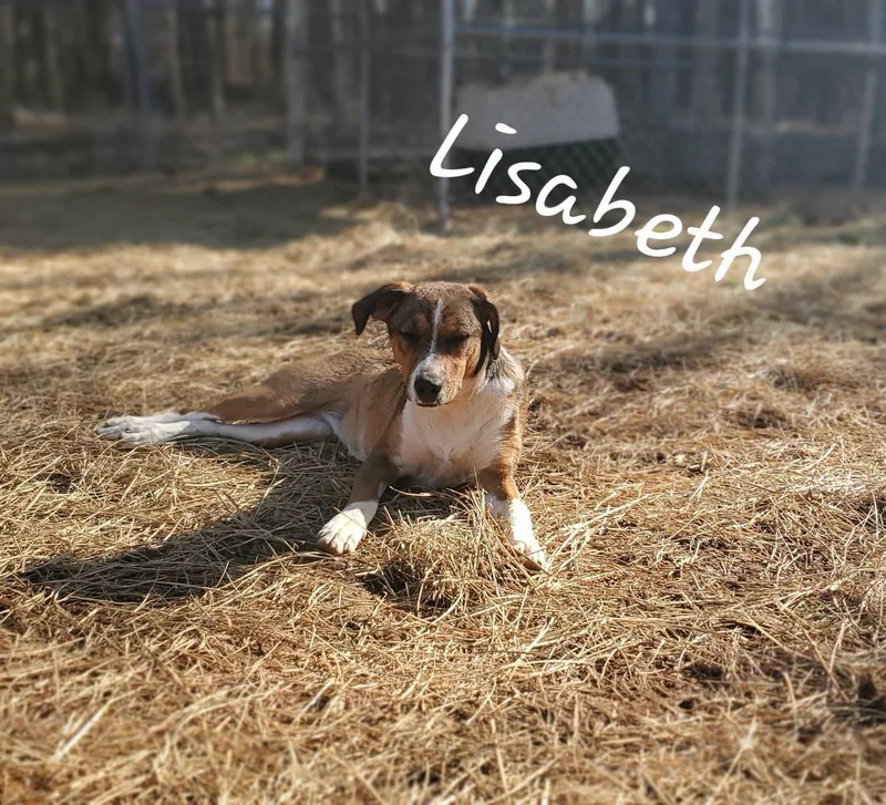 Lisabeth thumbnail 2