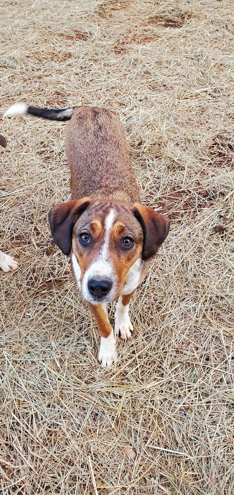 Lisabeth thumbnail 3