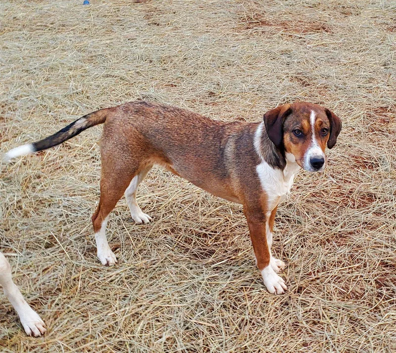 Lisabeth thumbnail 5