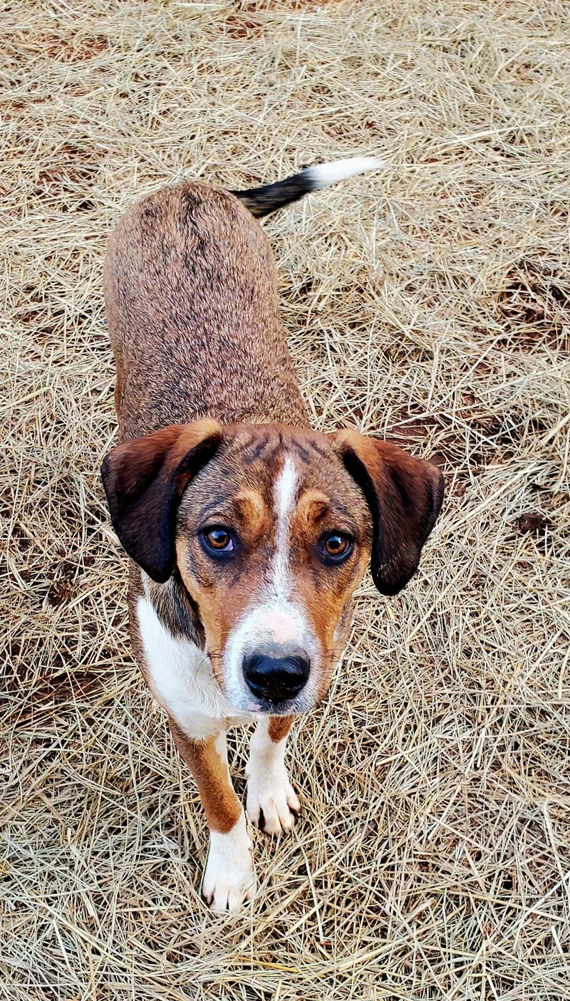 Lisabeth thumbnail 6