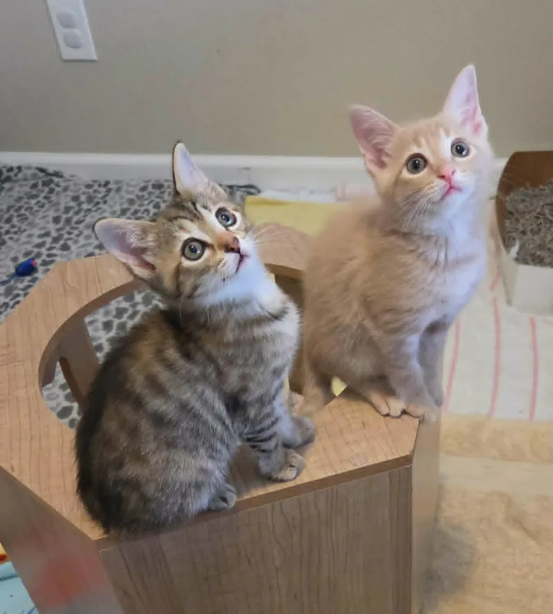 Esther & Promise thumbnail 2