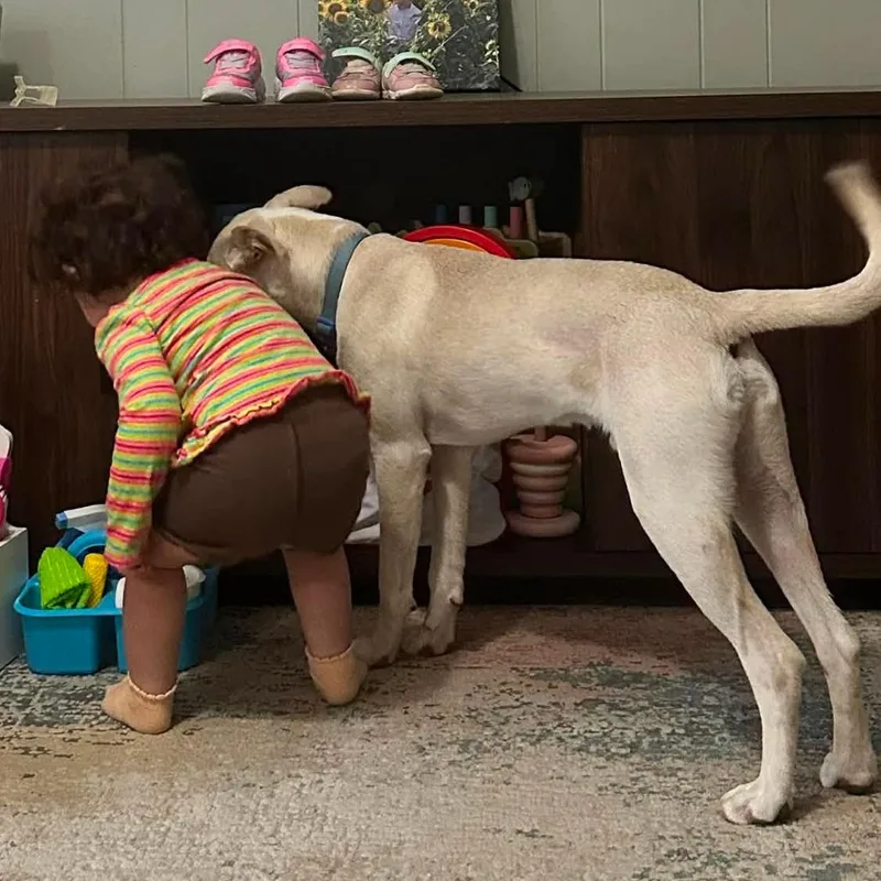 Smeagol thumbnail 4