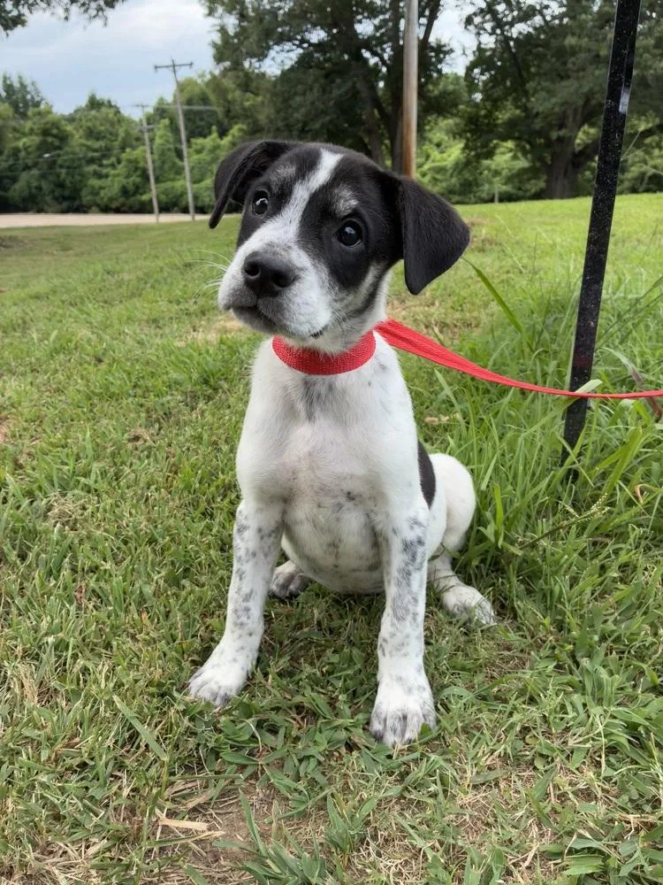Apollo  abandoned A thumbnail 2