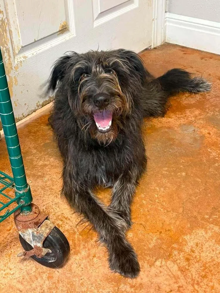 Ellie Mae