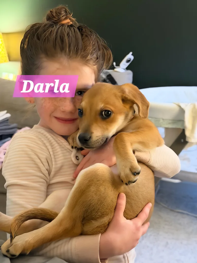 Darla thumbnail 4