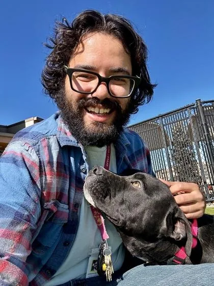 Goliath Beetle thumbnail 2