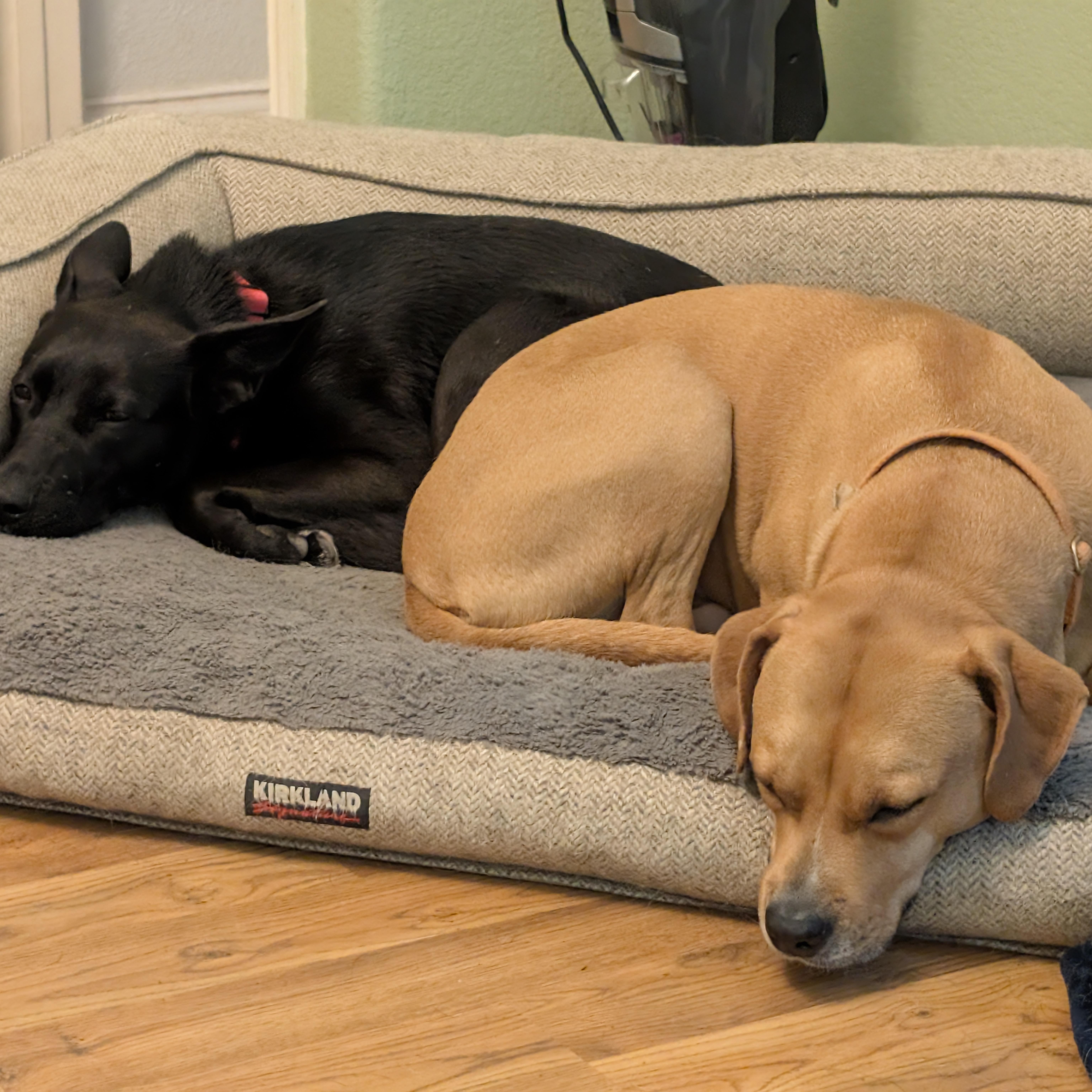 Persephone thumbnail 2