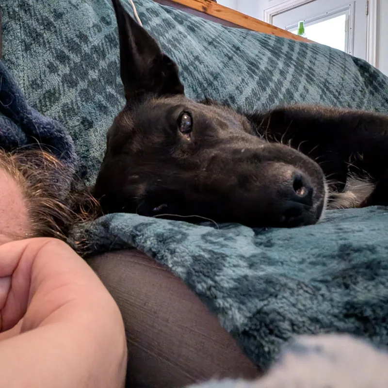 Persephone thumbnail 5