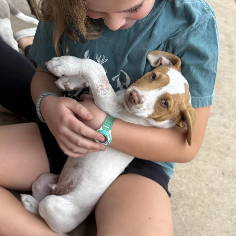 John Denver thumbnail 2