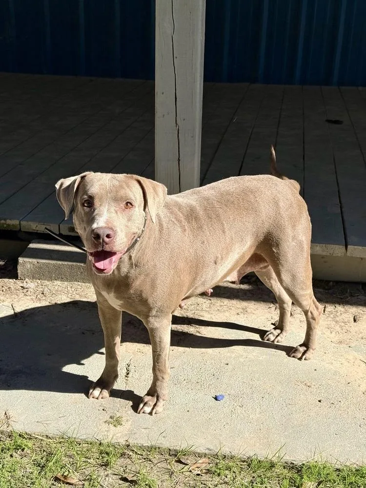 Lilah 💜 thumbnail 2