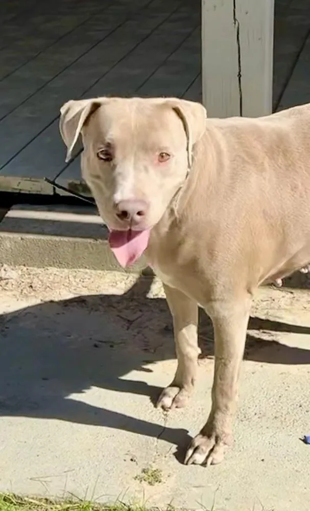 Lilah 💜 thumbnail 3