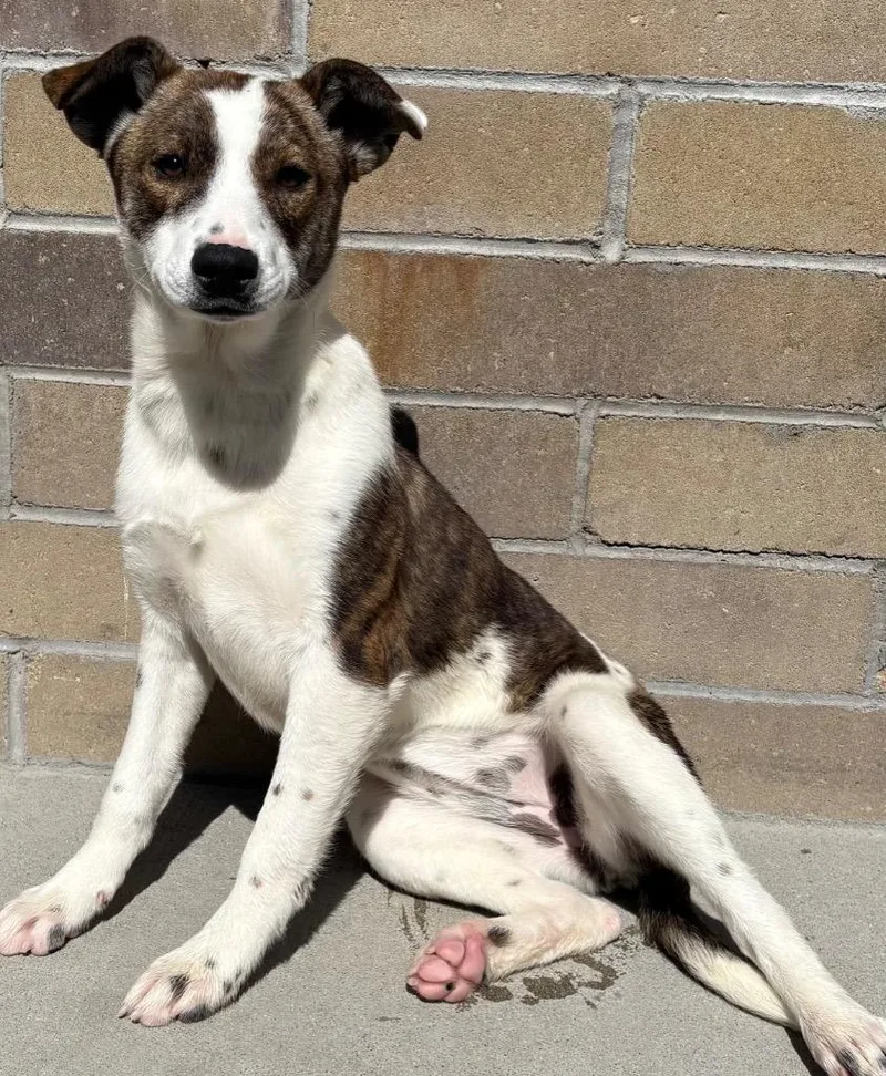 Roppongi thumbnail 2