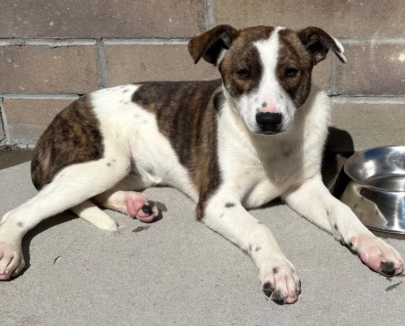 Roppongi thumbnail 3