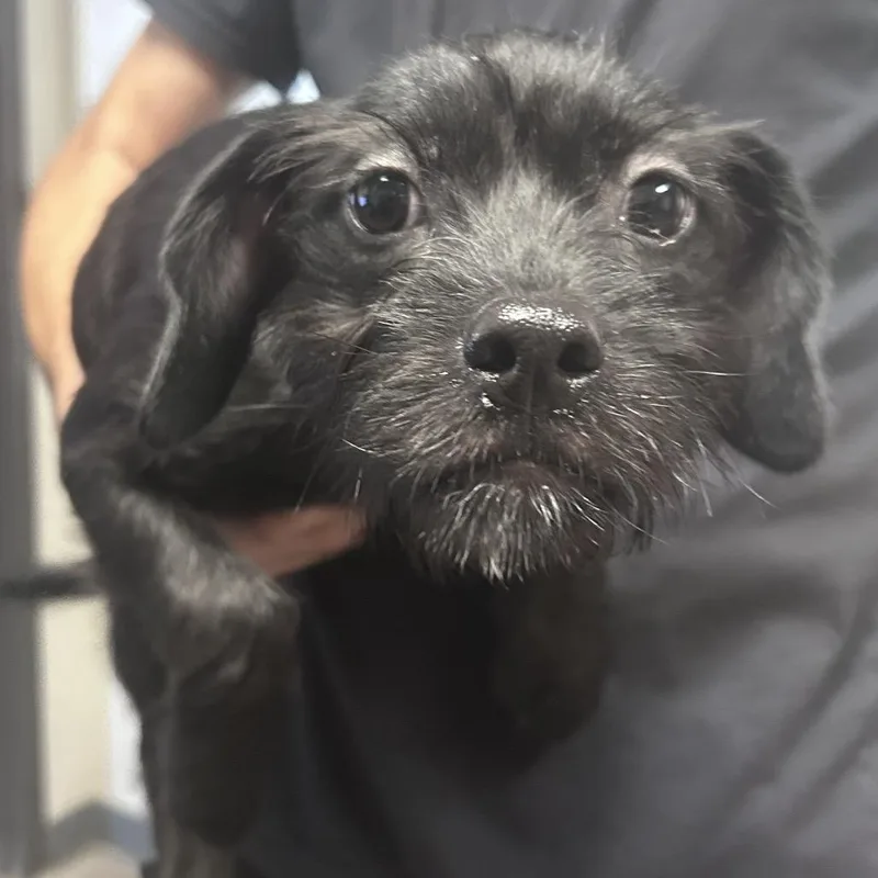 Sabrina thumbnail 2