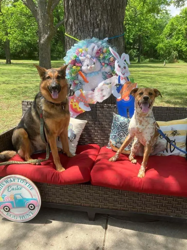 Otis Moo thumbnail 3