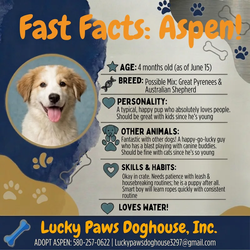 Aspen thumbnail 2