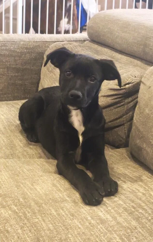 Skye