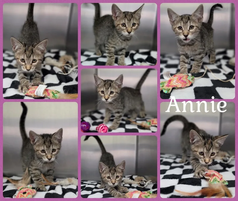 Annie