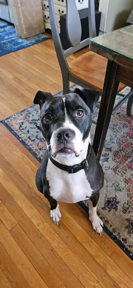 Kelseys Crew : Gemini thumbnail 3