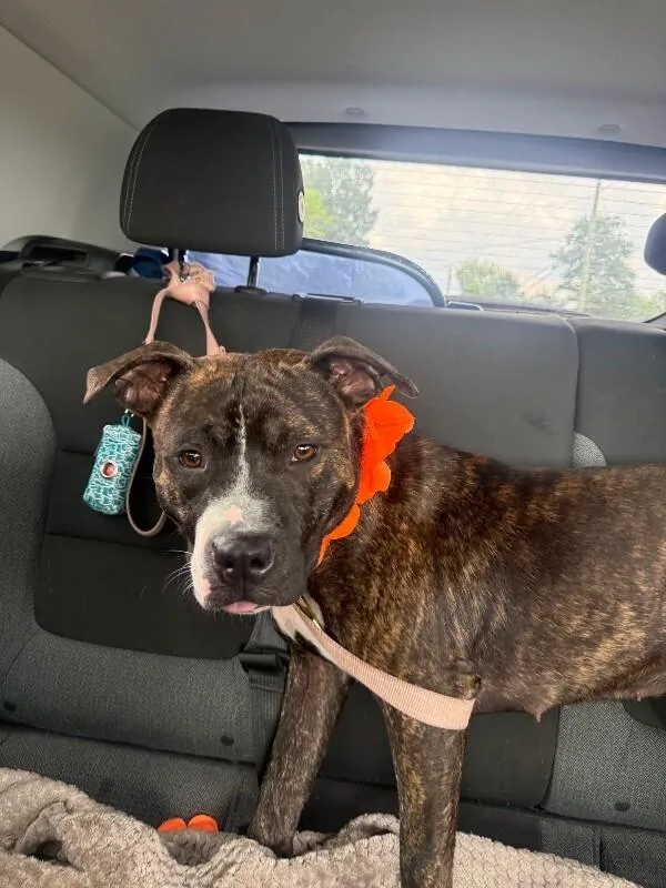 Michelle thumbnail 2