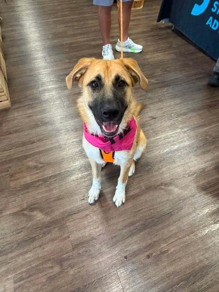 Alanna thumbnail 2
