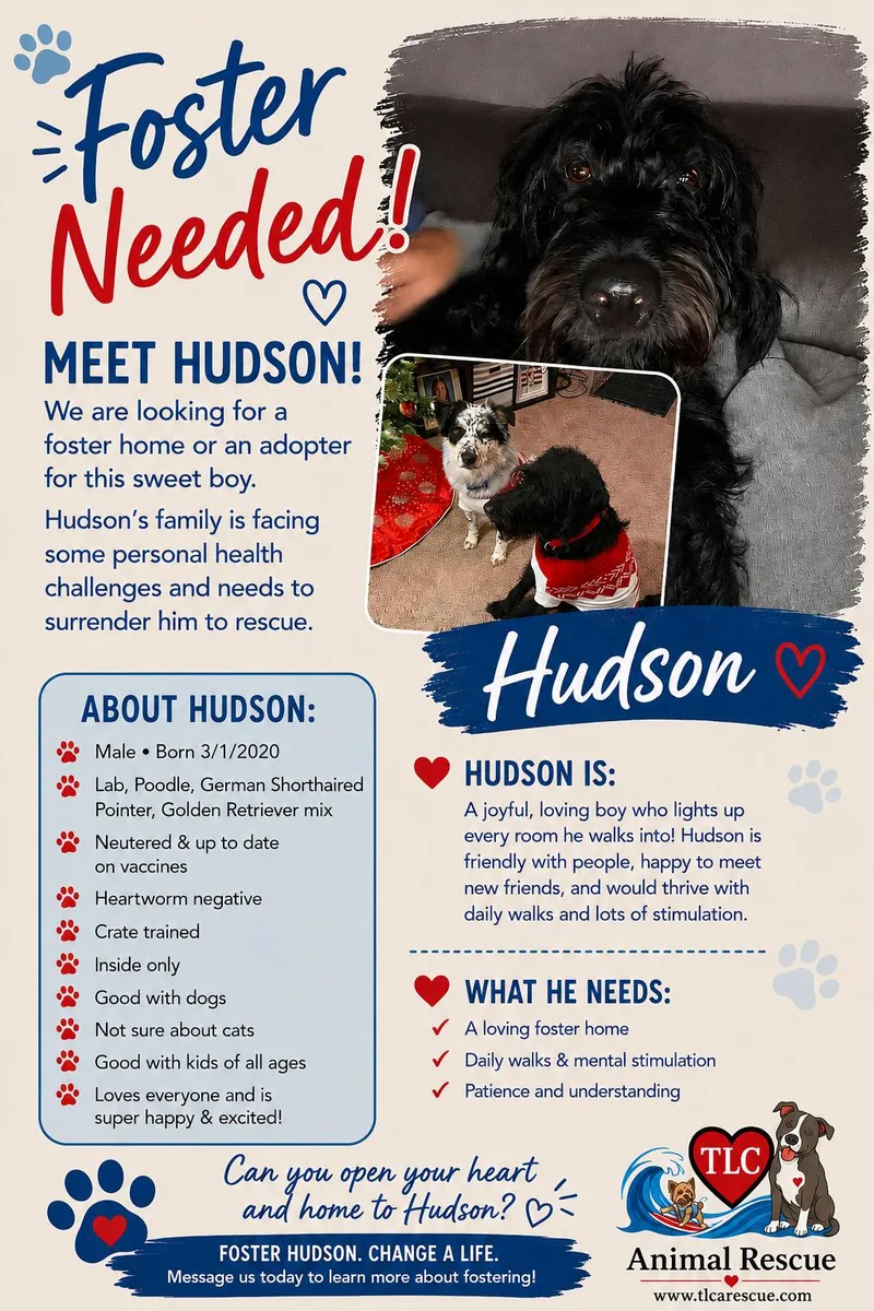 Hudson thumbnail 3