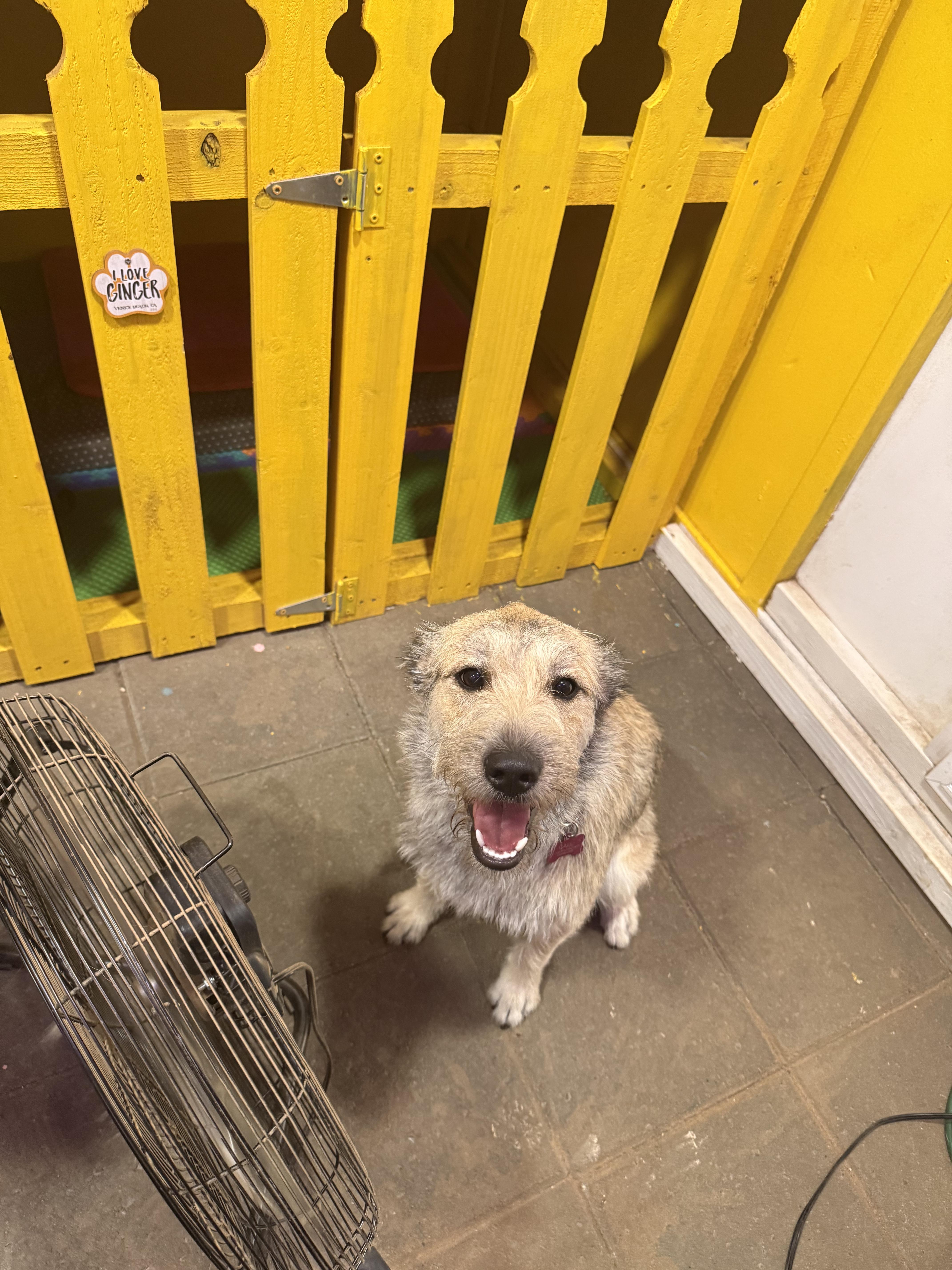 Pancho And Pancha thumbnail 3