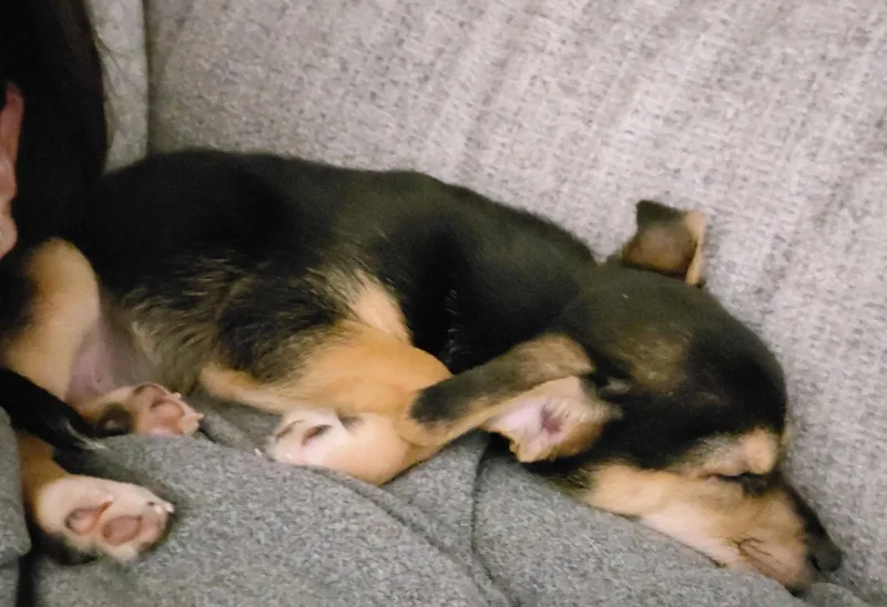 Ernie thumbnail 3