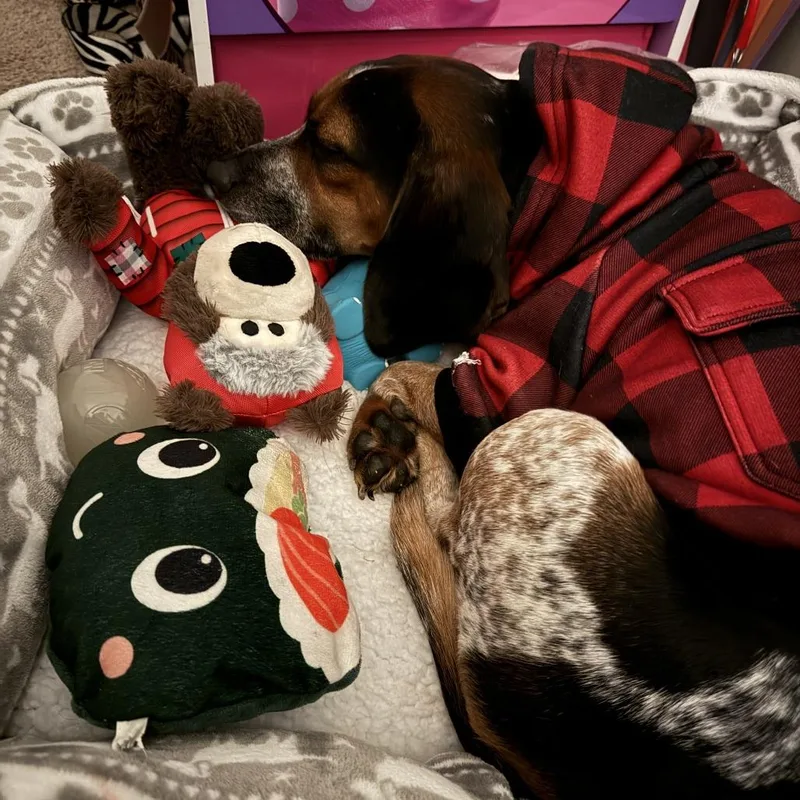 Cosmopolitan thumbnail 2