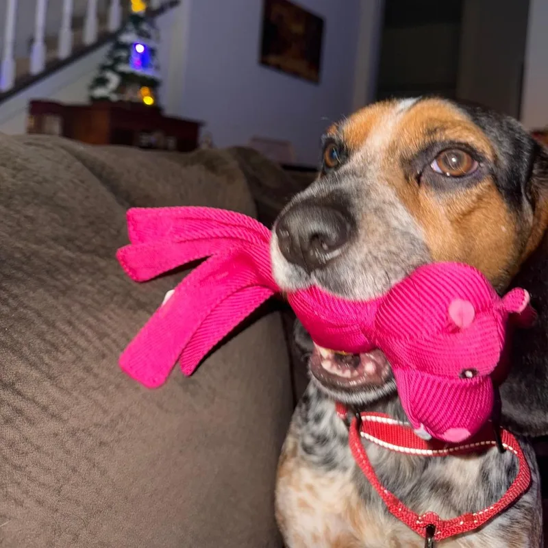 Cosmopolitan thumbnail 3