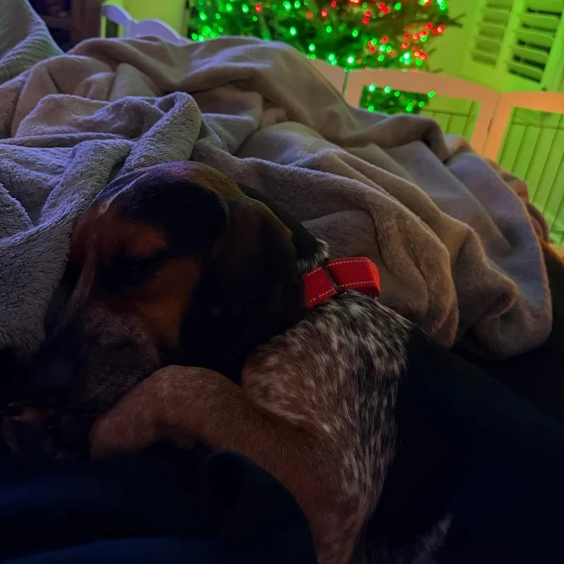 Cosmopolitan thumbnail 5