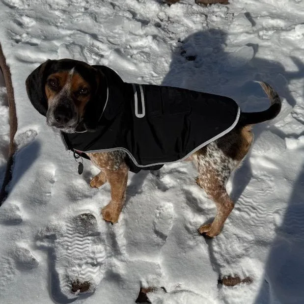 Cosmopolitan thumbnail 6