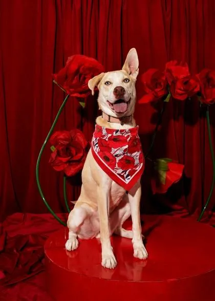 Madeline thumbnail 2