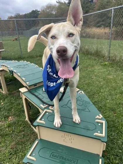 Madeline thumbnail 4